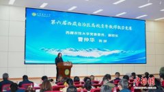 西藏举行高校青年教师教